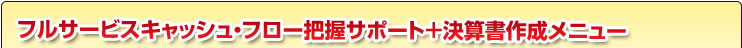 フルサービスキャッシュ・フロー把握サポート＋決算書作成メニュー